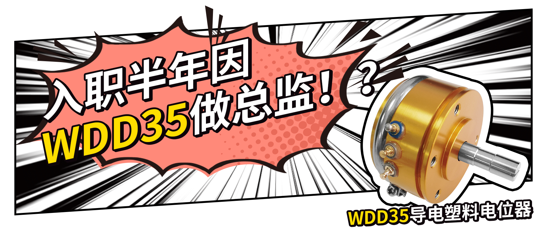 入職半年因WDD35做總監(jiān)？！